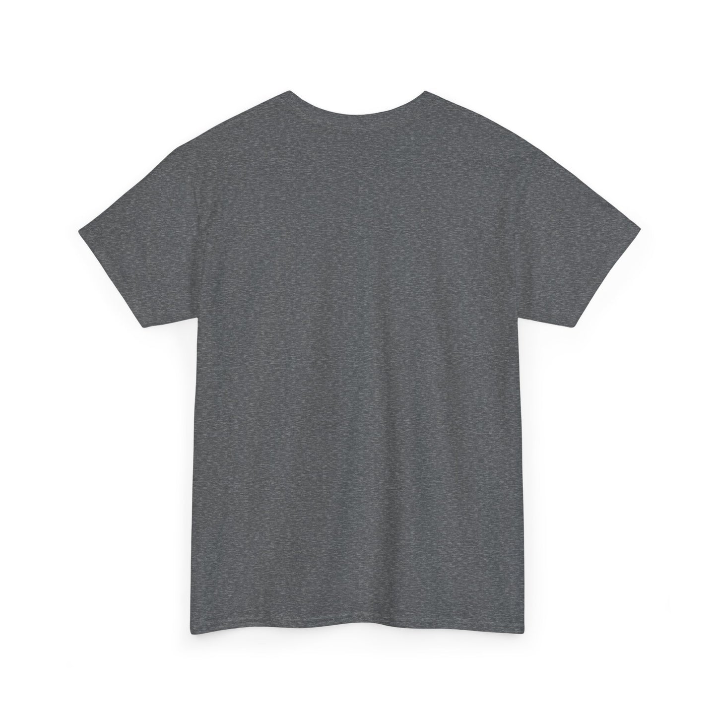 Anubis & Horus Unisex Heavy Cotton Tee