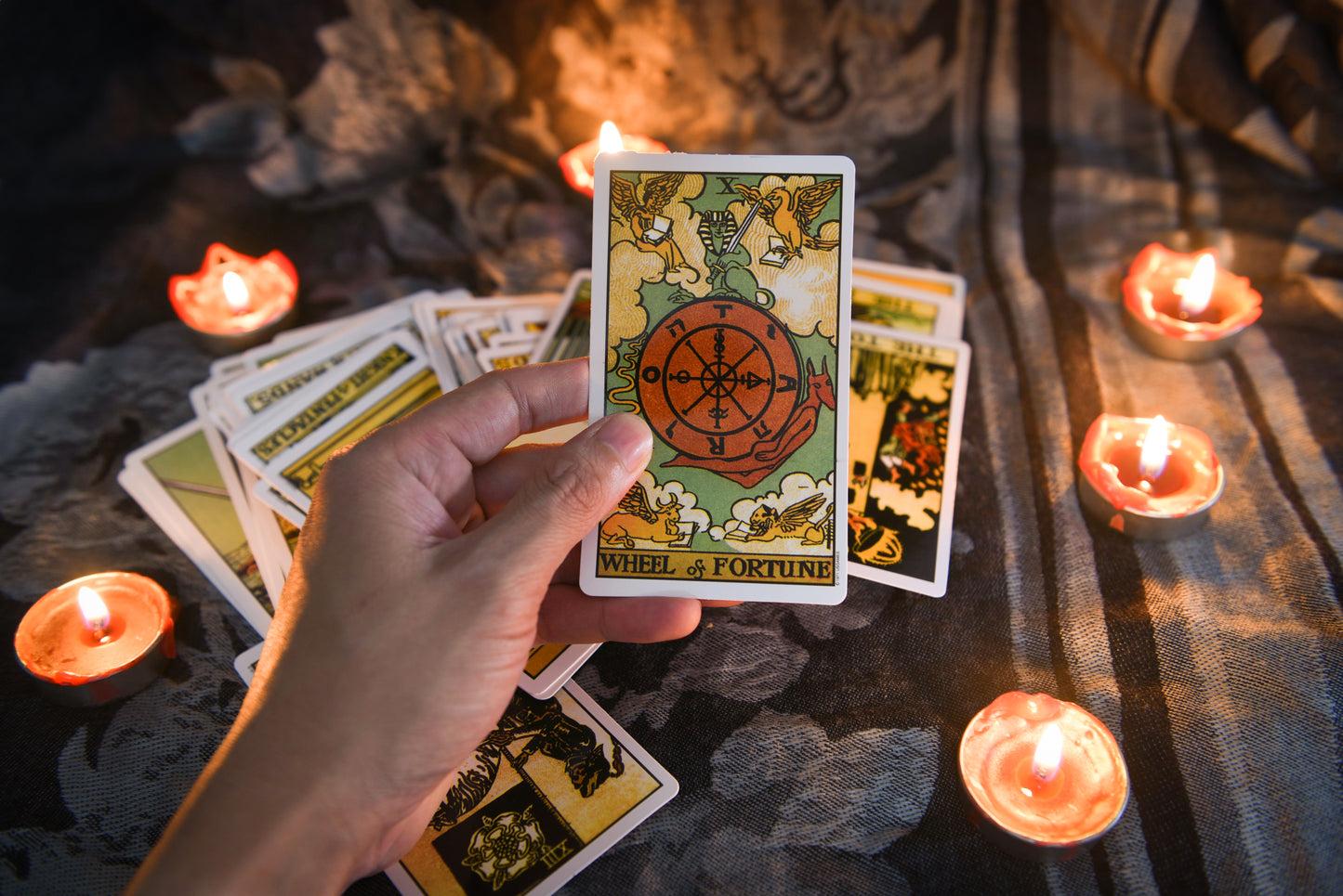 Virtual Tarot Card Reading